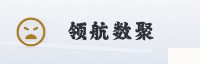 合作伙伴